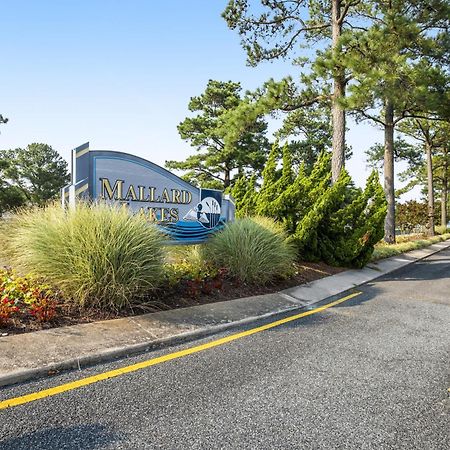 Mallard Lakes --- 37781 Heron Ln. #434 Selbyville Bagian luar foto